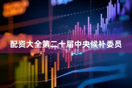 配资大全第二十届中央候补委员