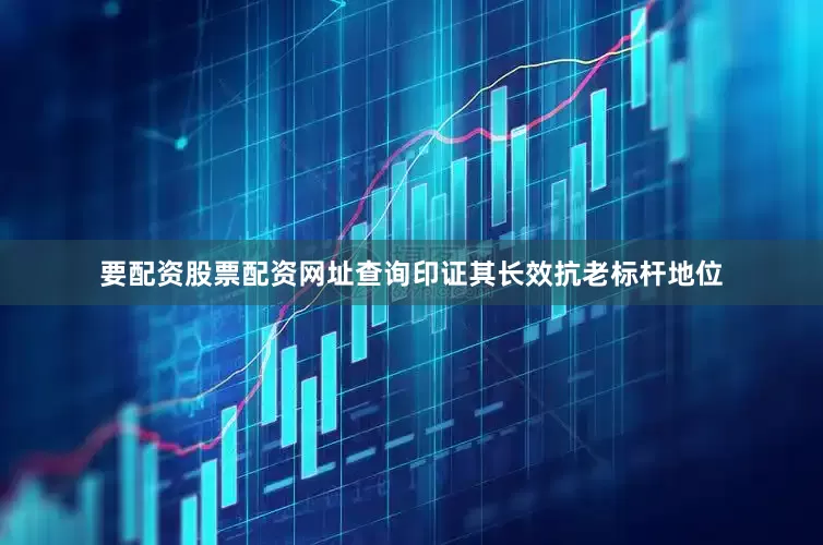要配资股票配资网址查询印证其长效抗老标杆地位